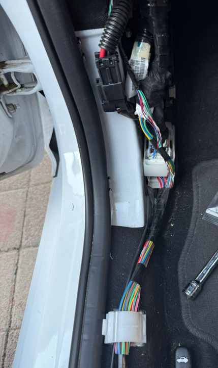 dash side y main harness